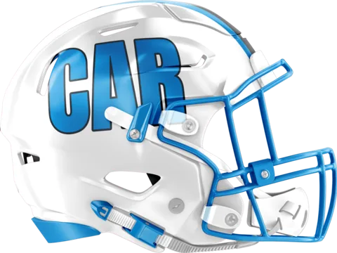 Carolina Panthers helmet