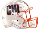 Bears helmet