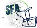 Seahawks helmet