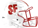 49ers helmet